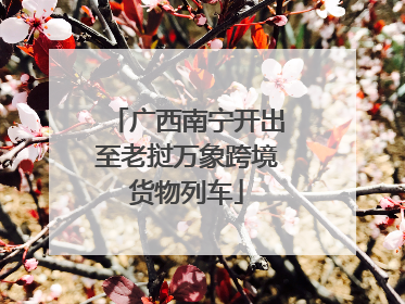 广西南宁开出至老挝万象跨境货物列车
