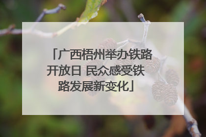广西梧州举办铁路开放日 民众感受铁路发展新变化