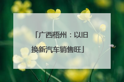广西梧州：以旧换新汽车销售旺
