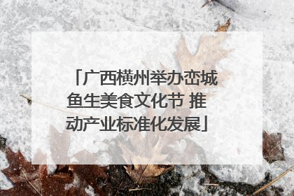 广西横州举办峦城鱼生美食文化节 推动产业标准化发展