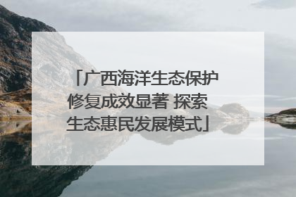 广西海洋生态保护修复成效显著 探索生态惠民发展模式