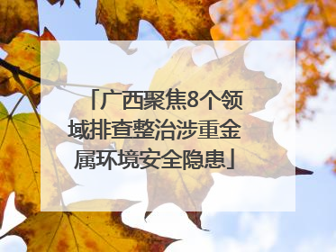 广西聚焦8个领域排查整治涉重金属环境安全隐患