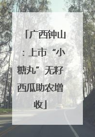 广西钟山：上市“小糖丸”无籽西瓜助农增收