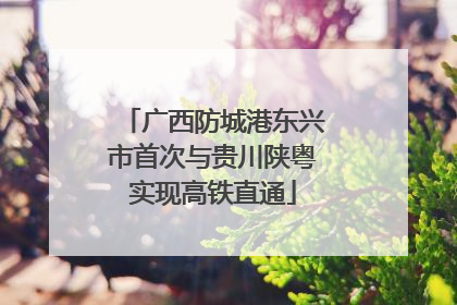 广西防城港东兴市首次与贵川陕粤实现高铁直通