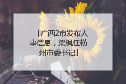 广西2市发布人事信息，梁枫任横州市委书记