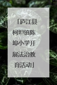 庐江县柯坦镇陈埠小学开展法治教育活动