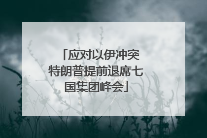应对以伊冲突 特朗普提前退席七国集团峰会
