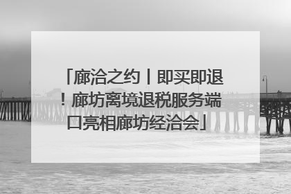 廊洽之约丨即买即退！廊坊离境退税服务端口亮相廊坊经洽会