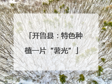 开鲁县：特色种植一片“薯光”