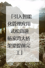引入智能化管理应用 武松高速杨家湾大桥架梁提前完工