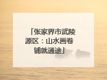 张家界市武陵源区：山水画卷铺就通途