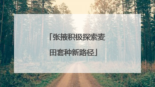 张掖积极探索麦田套种新路径