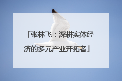 张林飞：深耕实体经济的多元产业开拓者