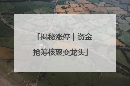 揭秘涨停｜资金抢筹核聚变龙头