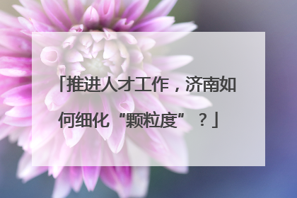 推进人才工作，济南如何细化“颗粒度”？