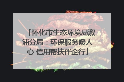 怀化市生态环境局溆浦分局：环保服务暖人心 信用帮扶伴企行
