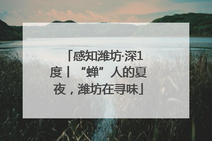 感知潍坊·深1度丨“蝉”人的夏夜，潍坊在寻味