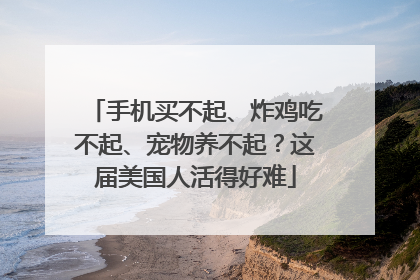 手机买不起、炸鸡吃不起、宠物养不起？这届美国人活得好难