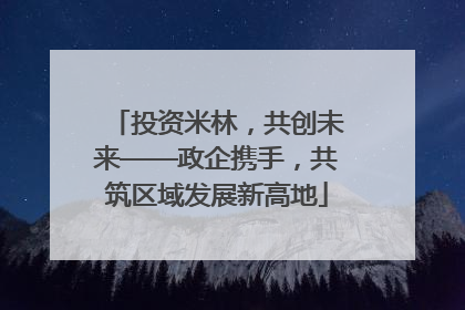 投资米林，共创未来——政企携手，共筑区域发展新高地