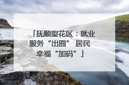 抚顺望花区：就业服务“出圈” 居民幸福“加码”