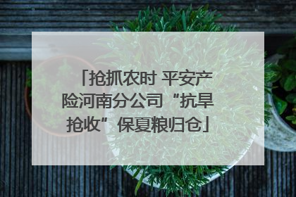 抢抓农时 平安产险河南分公司“抗旱抢收”保夏粮归仓