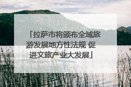 拉萨市将颁布全域旅游发展地方性法规 促进文旅产业大发展