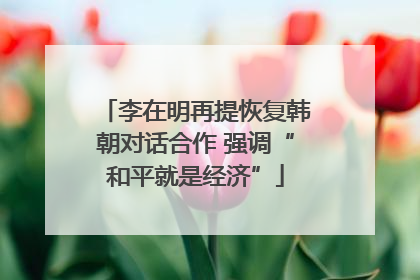 李在明再提恢复韩朝对话合作 强调“和平就是经济”