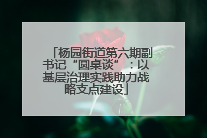 杨园街道第六期副书记“圆桌谈”：以基层治理实践助力战略支点建设