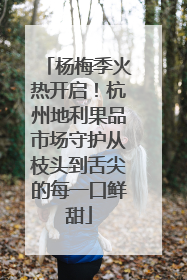 杨梅季火热开启！杭州地利果品市场守护从枝头到舌尖的每一口鲜甜