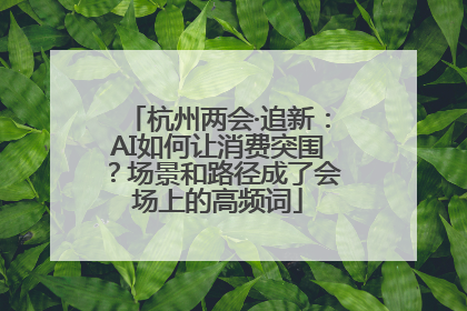 杭州两会·追新：AI如何让消费突围？场景和路径成了会场上的高频词