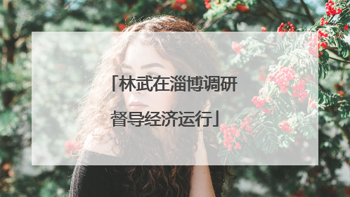 林武在淄博调研督导经济运行