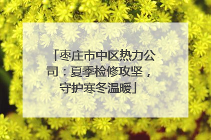 枣庄市中区热力公司：夏季检修攻坚，守护寒冬温暖