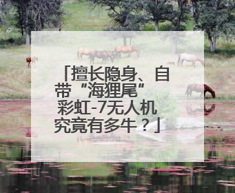 擅长隐身、自带“海狸尾” 彩虹-7无人机究竟有多牛？