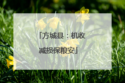 方城县：机收减损保粮安