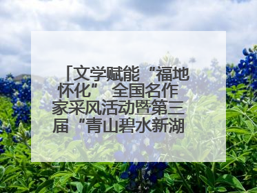 文学赋能“福地怀化” 全国名作家采风活动暨第三届“青山碧水新湖南”创作启动