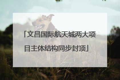 文昌国际航天城两大项目主体结构同步封顶