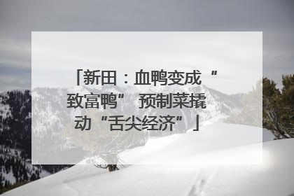 新田：血鸭变成“致富鸭” 预制菜撬动“舌尖经济”