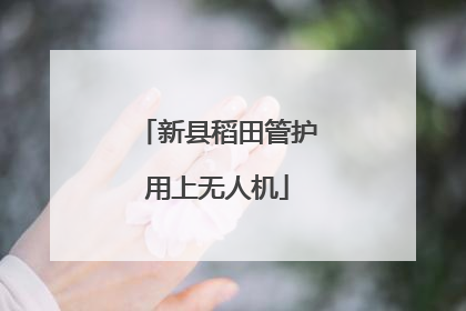 新县稻田管护用上无人机