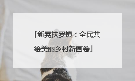 新晃扶罗镇：全民共绘美丽乡村新画卷