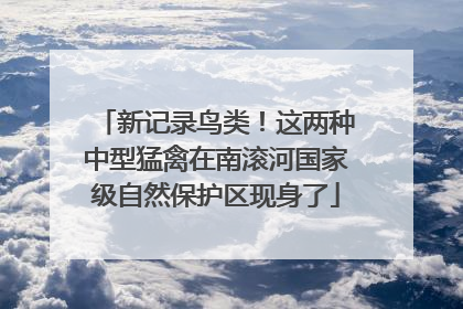 新记录鸟类！这两种中型猛禽在南滚河国家级自然保护区现身了