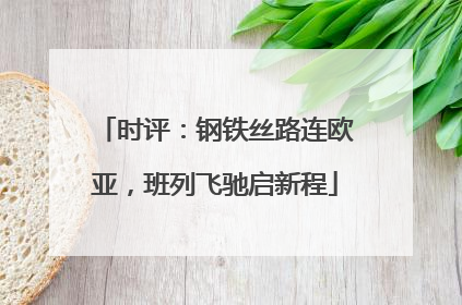 时评：钢铁丝路连欧亚，班列飞驰启新程