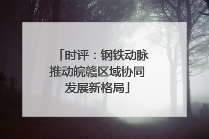 时评：钢铁动脉推动皖赣区域协同发展新格局