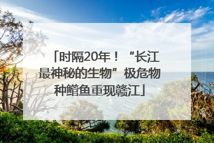 时隔20年！“长江最神秘的生物”极危物种鳤鱼重现赣江