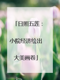 日照五莲：小院经济绘出大美画卷