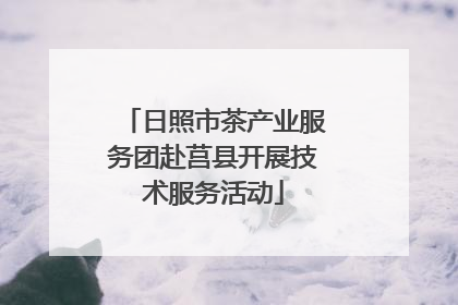 日照市茶产业服务团赴莒县开展技术服务活动