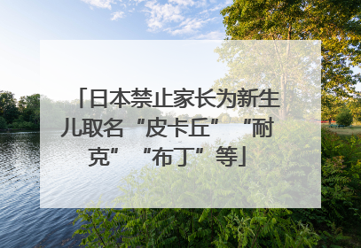 日本禁止家长为新生儿取名“皮卡丘”“耐克”“布丁”等