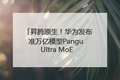 昇腾原生！华为发布准万亿模型Pangu Ultra MoE模型架构和训练细节