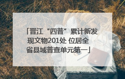 晋江“四普”累计新发现文物201处 位居全省县域普查单元第一