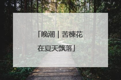 晚潮｜苦楝花在夏天飘落