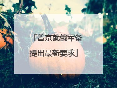 普京就俄军备提出最新要求